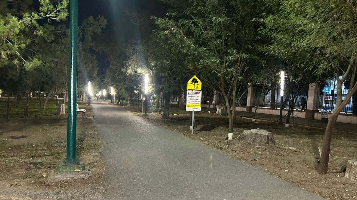 Seis Millones de Pesos para Mejorar el Bosque Venustiano Carranza