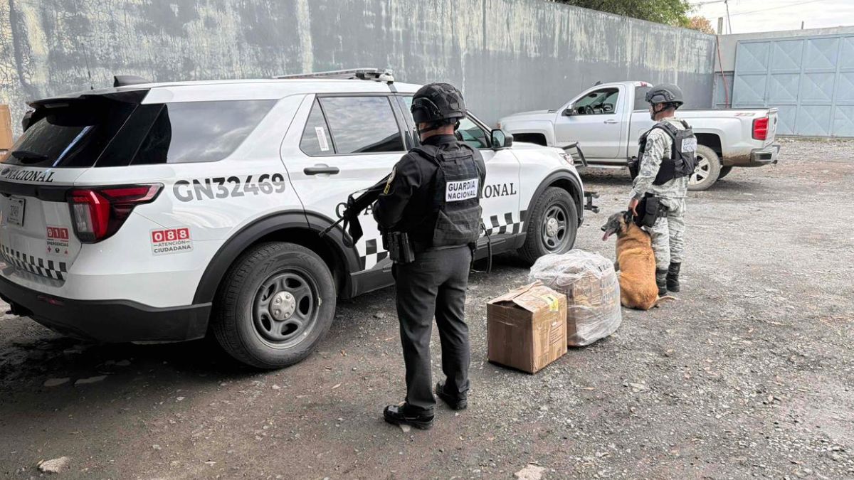 Sedena Desmantela Operativos: Decomiso de 51 Kilos de Pirotécnica y 55 mil Litros de Diesel en Nuevo León