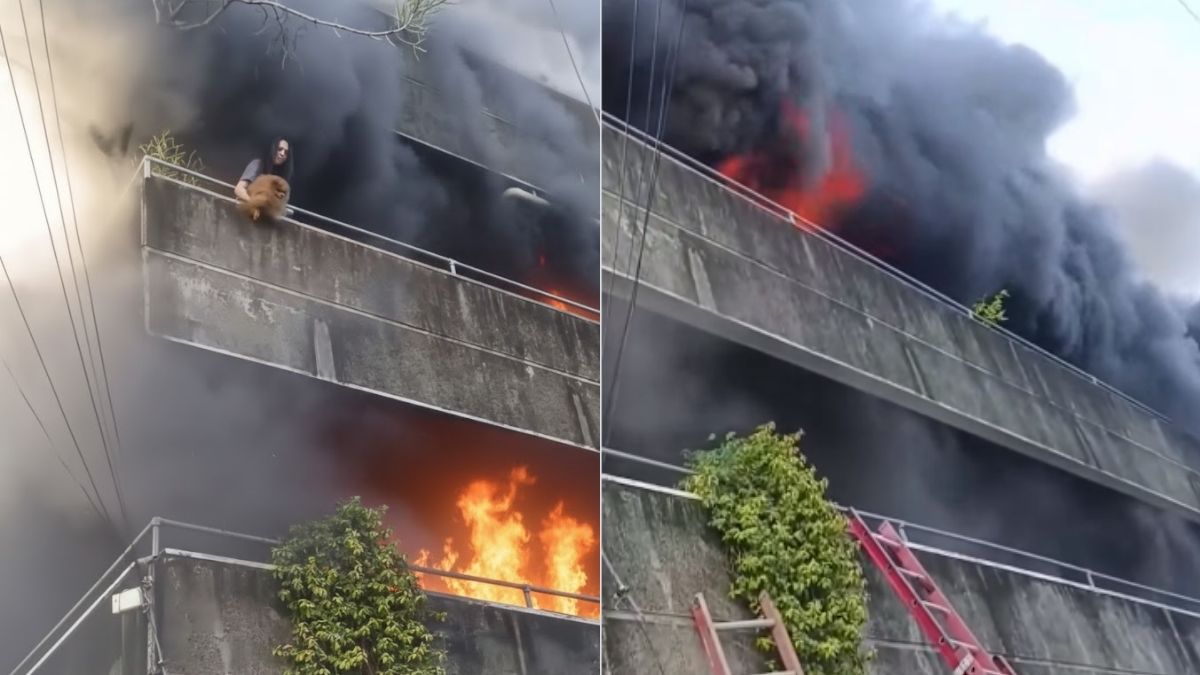 Heroína en Palm Springs: Mujer arriesga su vida en incendio para salvar a sus perritos